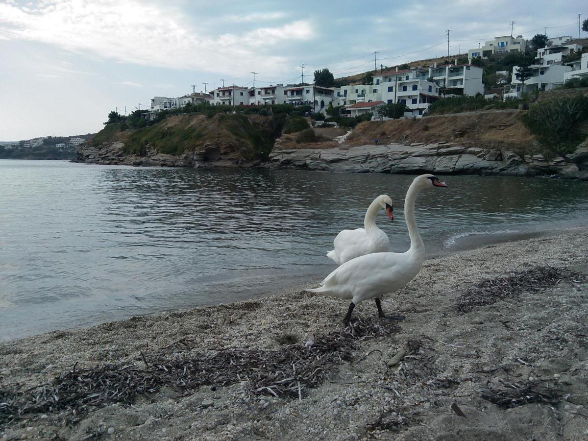 Villa Bonatsa Andros Home บาทซี ภายนอก รูปภาพ